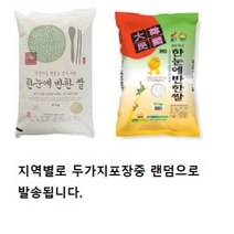 2022년 한눈에 반한 쌀 10kg 고품질 브랜드 쌀 땅끝마을 햇살을 받고 자란~, 1개