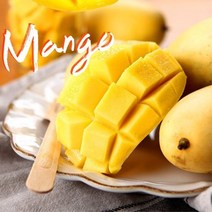 [바른팜] 항공직송 고당도 필리핀 망고 S 12개 2.5kg, 없음