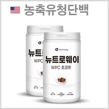 신제품 뉴트로웨이 WPC 600g 초코맛 2통 유청단백질추천 류신단백질 유유단백질 프로틴단백질 유청단백질효능 국산프로틴 헬스단백질보충제 초유단백질 단백질보충제추천 단백질파우더