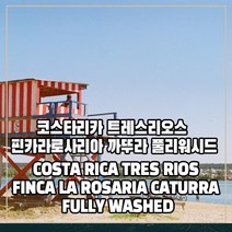 (커피생두) 68 코스타리카 트레스리오스 핀카라로사리아 까뚜라 풀리워시드 500g, 1개