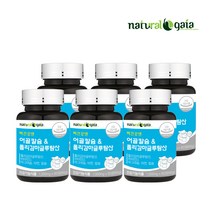 내츄럴가이아 어골칼슘 폴리감마글루탄산 비타민D 마그네슘 아연 칼슘 6개월분, 단품, 단품