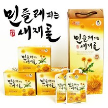 푸르젠 [문경새재골] 들의 꽃 민들레 잎차/민들레엑기스, 03번 민들레 뿌리차 50g(25g×2개입)