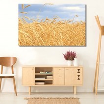 셀러허브 벼이삭 가을 와이드 풍경 사진 그림 액자 50호 117x74cm, 캔버스액자(옆면연장)