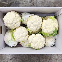 생 컬리플라워 1kg