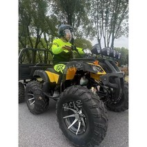 ATV 4륜 산악 오토바이 산악용 버기카 농업용 화물 짐운반, 18. R. R