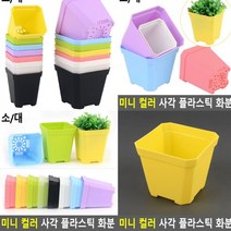 플라스틱화분 대 옐로우 귀여운화분 나무화분 실내정원 빈화분 분재화분 방울토마토화분 테라스화분 빈티지토분 베란다상추키우기 야외화분 후리지아화분 이쁜화분 사무실화분 대형플라스틱화분 텃밭상자 베란다정원 미니토분 상자텃밭 블루베리화분 옥상텃밭 베란다화분 실내텃밭 독일토분 분갈