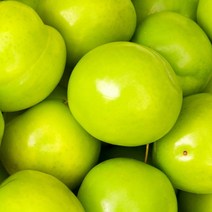 [착한식탁] 가정용 아오리사과 5kg 중대과, 1개