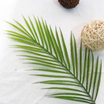 이레카야자 몬스테라 조화 인테리어 식물 야자수 플랜테리어, 이레카야자 조화 76cm