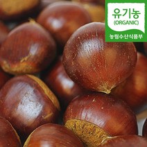 (자연마을) 공주 유기농 정안밤 1kg 2kg 피밤 생밤 생율, 1개