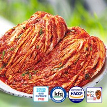 브랜드없음 대상수상김치 학가산 고랭지 한정행사 포기김치 총20kg (포기 10kg x2개) 아이스박스포장, 단품없음