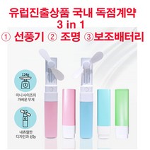 GGTC 유럽진출 국내독점계약 보조배터리가능한 미니포켓립스틱선풍기, 스카이