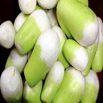야채삼촌 맛있는 제주 월동무 세척무 5KG 10KG, 무 10kg, 1개