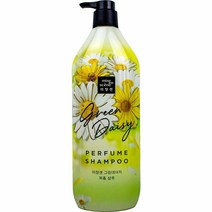 BTM-M397 그린데이지 퍼퓸 샴푸 1100ml 향 좋은 미용실 사춘기 청소년 헤어 지성 두피 정수리 탈모 비듬 새치 냄새 예방 방지 선물