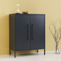 마켓비 PIDOR 철제수납장 캐비넷 모던세로중 2문 8001015, 다크그레이