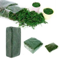청이끼 800g 화분장식 각종인테리어 원예부자재 조화, 청이끼 대포장(800g) 1개