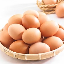 (풀무원)목초달걀 무항생제 1등급특란(15개) (900g)1알당 키위2개 분량의 엽산 함유 프리미엄달걀 특판~, 1개