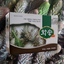 생와송즙 100mlx60포 국내산 와송진액 엑기스 부모님 선물세트, 와송즙60포