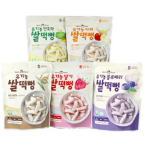 맛있는풍경 유기농 쌀떡뻥 딸기 25g + 사과 25g + 블루베리 25g + 단호박 25g + 플레인 25g, 13세트