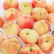 [초록자연] 딱딱이 복숭아 5kg(대)아삭 단단한복숭아, 상세 참조