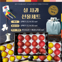 2023 사과설날선물세트 5kg 부사 시나노골드, 시나노골드(12과)
