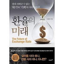 [개똥이네][중고-최상] 환율의 미래