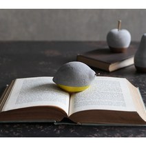 과일문진 페이터웨이트 사과 과일 책 스톤 문진 인테리어 오브제, 배