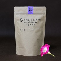 그림봉투화분 나팔꽃
