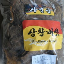 자연산상황버섯 (중국산) 1kg 차 물 분말 뽕나무 장수상황버섯