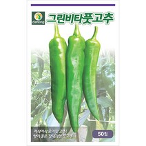 새로나 봄배추 300립 - 씨 씨앗 봄배추씨앗 봄배추씨 채소씨 채소씨앗 배추씨앗 배추씨, 11_다농_그린비타 풋고추(50립)