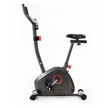 헬스 싸이클 키텍 TECHNOBIKE T-1 가정용 입식싸이클