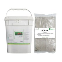 바이오네틱스 미생물 정화조관리제 250g 10팩 - 냄새제거 분뇨 폐수 슬러지 70%이상 양을 줄임 비용절감, 10개