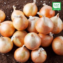 [미미의밥상] [산지직송] GAP인증 23년산 전남무안 양파 10kg (소), 1개