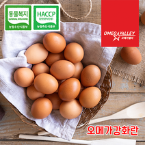 [오메가 밸리] 오메가3 강화란 동물복지 유정란 자연방사 달걀 난각 1번 계란 HACCP 인증 무항생제 (20구)