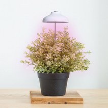 우산형 식물등 LED 조명 다육이 제라늄 난 성장등 생장등, 단품, 단품