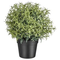 이케아 IKEA 인조식물 로즈메리 22cm, 1개