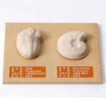화석(삼엽충)발굴키트, 상세페이지 참조