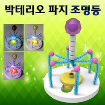 박테리오 파지 조명등 만들기 (5인용) - 220817978EA, 본상품선택