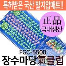 헬스원 장수마당 발지압매트 FGC-5500, 1개