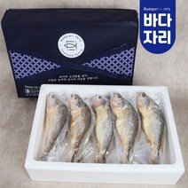 바다자리엄선 개별진공 부세 보리굴비 10미 프리미엄 선물세트