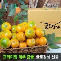 이츠올릿 제주도 귤로장생 3kg 하우스 고당도 감귤 제주 귤 추석 선물세트 타이백 밀감, 황금향_가정용_15과 전후 3kg