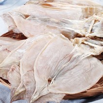 동해안 마른오징어 20미(1.2Kg 내외) 당일바리 건 오징어, 단품