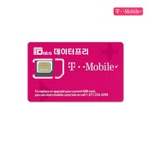 Tmobile 미국 티모바일통신사 유심칩 + 유심칩보관 케이스, 티모바일 4일(미국전용), 1개