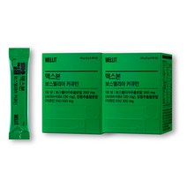 웰릿 맥스본 커큐민 보스웰리아 강황추출물, 2box (2개월)