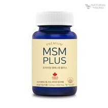 내추럴영 프리미엄 MSM PLUS 관절 2개월분, 195g, 1병