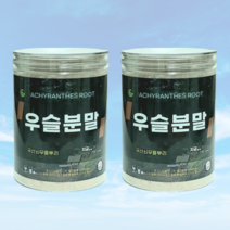 정든팜 국산쇠무릎뿌리 우슬분말 300g 1통 2통, 우슬분말 300g 2통