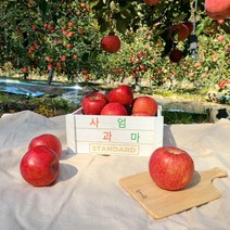 산지직송 사과엄마 경북 꿀 사과 부사 2kg 5kg 10kg, 04. 10kg 정품 혼합과(32-36입)