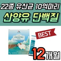 50대 단백질 파우더 산양유 프로틴 스틱 노인 분말 고급 네덜란드 간편한 음료 30포 1박스 1개월분 MBP 유청 어르신 60대 부모님 임산부 마시는 쉐이크 드링크 가루 여성, 30포 x 12개 (12개월)