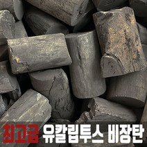BBK 유칼립투스 비장탄 10kg M 식당용 바베큐숯
