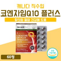 프리미엄 코큐텐 식약처 인증 캐나다 직수입 코큐텐 코큐10 코큐비 플러스 비타민 영양제 1개 1박스 약 2개월 60캡슐 100 mg 코엔자임 코엠자이 큐텐 Q10 비타 민 고급
