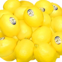 정품 팬시 레몬 3kg / 4kg /5kg 레몬청 레몬에이드 장식용 레몬 썬키스트, 5kg